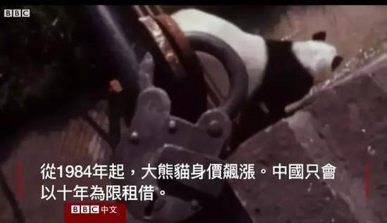 外媒:熊猫是中国的赚钱工具、外交手段和置换筹码