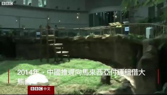 外媒:熊猫是中国的赚钱工具、外交手段和置换筹码