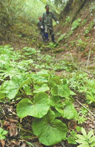 点击进入下一页