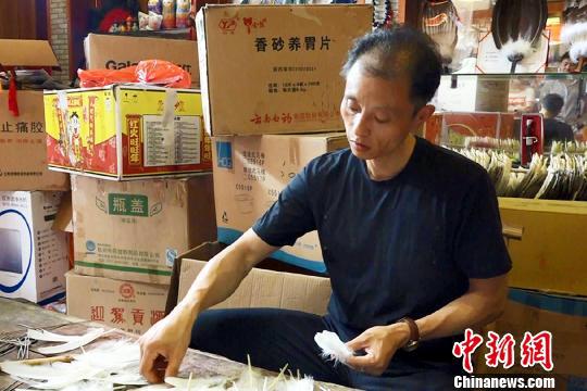 &nbsp;&nbsp;&nbsp;&nbsp;三河羽扇非遗技艺传承人丁政权在制作羽扇?！≈有馈∩? style=