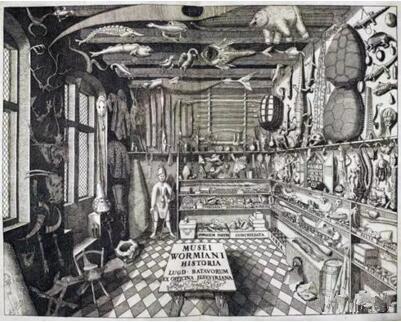 Herman Middendorp, 《Ole Worm的艺术房》，Musei Wormiani Historia, 1655年