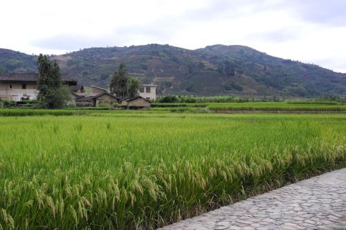 u=1902051163,3906049352&fm=26&gp=0 u=1902051163,3906049352&fm=26&gp=0