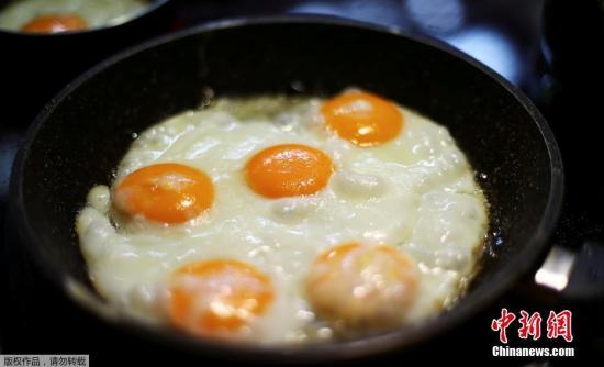 世界卫生组织(WHO)指，大量进食高浓度芬普尼一段时间，会损害肝脏、甲状腺和肾脏。（资料图）