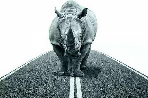 u=2721667490,4239076295&fm=11&gp=0 u=2721667490,4239076295&fm=11&gp=0