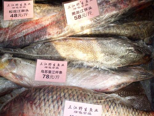 u=1678920387,2583747964&fm=26&gp=0 u=1678920387,2583747964&fm=26&gp=0