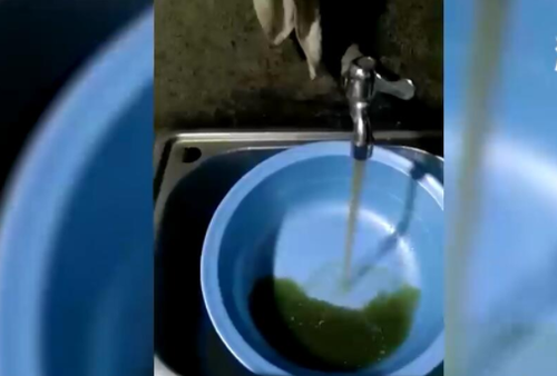 水厂员工操作失误 4万居民自来水管流出绿色液体