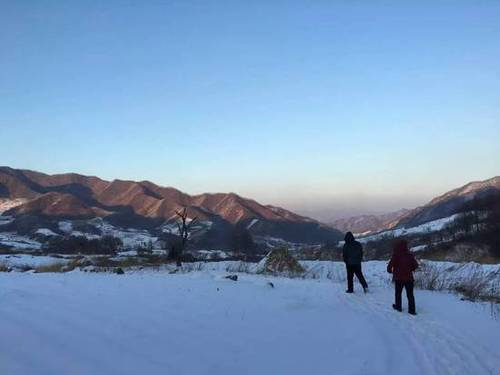 ▲记者在村里走访。新京报记者&nbsp;李明 摄