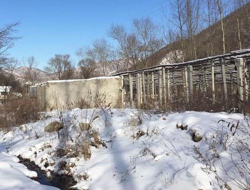 ▲去年12月13日上午，王大姐带记者来到家人曾遇难的地方。新京报记者&nbsp;李明 摄