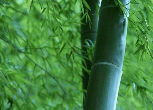 QQ截图20170823093815