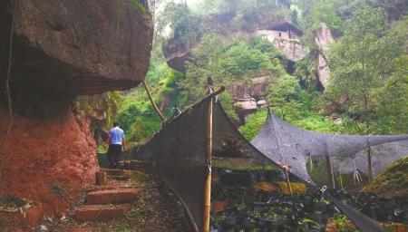 四川明代摩崖造像10颗佛头被盗 裂口处凿痕新鲜