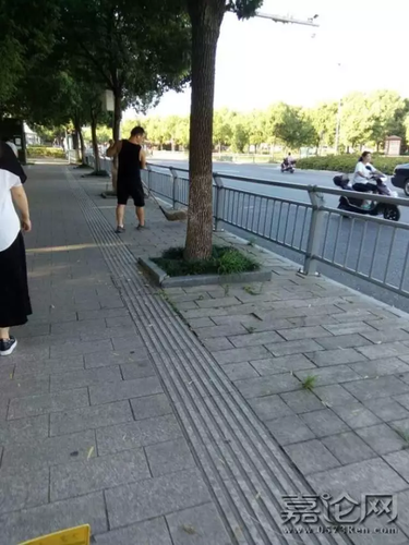29岁同济博士暑期帮环卫工父母扫马路 网友吵炸了