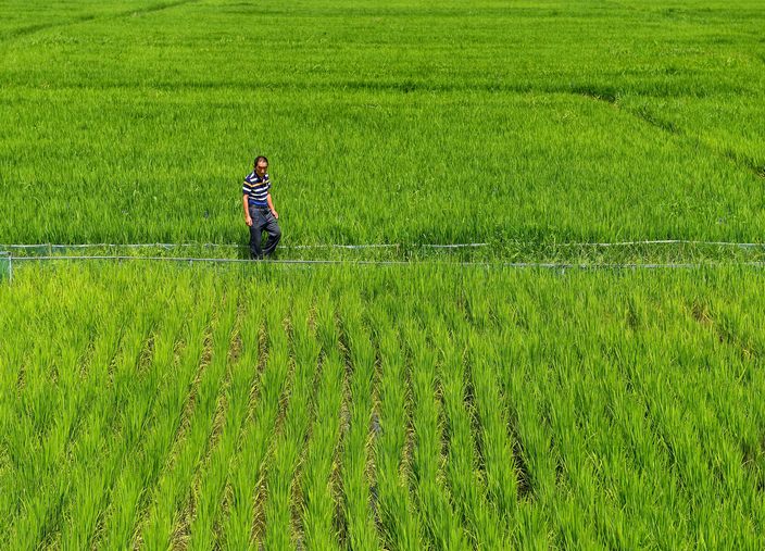 吉林：“农地贷”使农村“死资源”变“活资本”