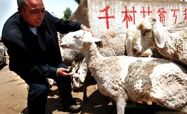 一年来，习近平推动东西扶贫协作再上新台阶