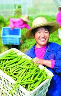 推进农业产业扶贫综述：增收靠项目 脱贫有门路