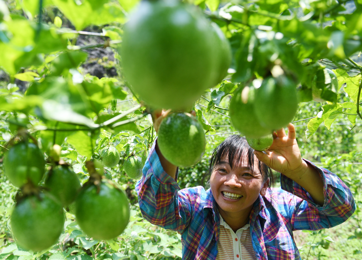 广西财政拨付33亿多元重点助力深度贫困地区脱贫攻坚