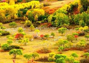 绿色奇迹：茫?；脑ぢ趟嗌街?>
						<h1>
							
							
								绿色奇迹：茫?；脑ぢ趟嗌街?							
						</h1>
						<p>
							这里不仅造就了中国高寒沙地生态建设史无前例的绿色奇迹，也诠释了“绿水青山就是金山银山”的发展之变，为中国提供了一个血肉丰满的范例。
						</p>
					</a>
					<a href=