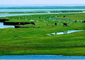 探索通向美丽中国的绿色崛起之路——来自鄱阳湖畔国家生态文明试验区的报告