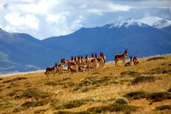 “世遗”?；さ闹泄鹁怼煽晌骼?、鼓浪屿申遗成功启示录