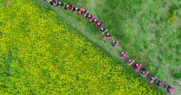 风沙地里“长出”绿色家园——西藏山南隆子县53年造林治沙记