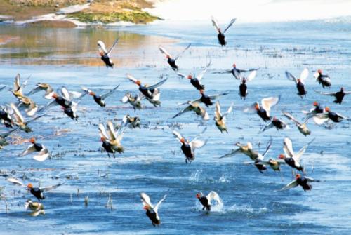 u=2359997136,1296495016&fm=26&gp=0 u=2359997136,1296495016&fm=26&gp=0