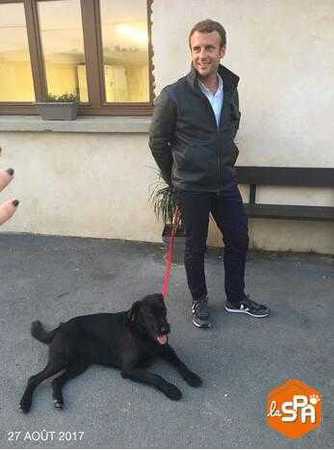 外媒解析为何法国历任总统都养狗 英国首相只养猫