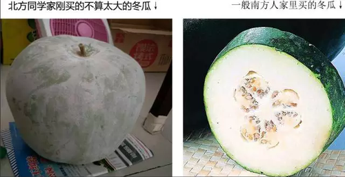 南北方买菜差别引热议:南方买一顿 北方买一吨
