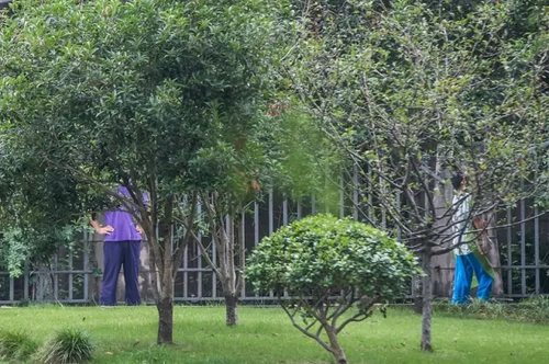 11岁搬砖男孩已退学:学校的教育不好 我自己可以学