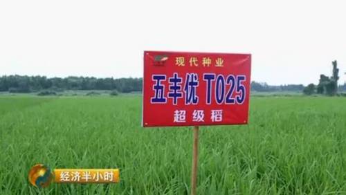 日本努力30年没完成的农业大计 中国师生做到了