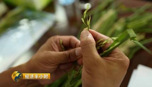 日本努力30年没完成的农业大计 中国师生做到了