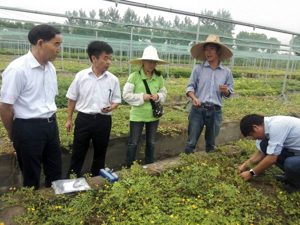 QQ图片20170907152207