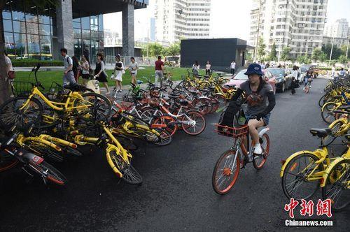 8月3日，北京街头的共享单车。<a target='_blank' href='http://www.chinanews.com/'>中新社</a>记者 侯宇 摄