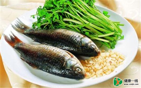 鲫鱼虽好 这三类人却不能吃