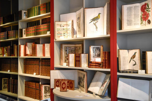 ↑这是9月11日在法国巴黎古董双年展上拍摄的一处展览陈设。2