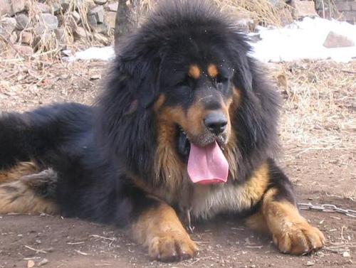 QQ截图20170915100543