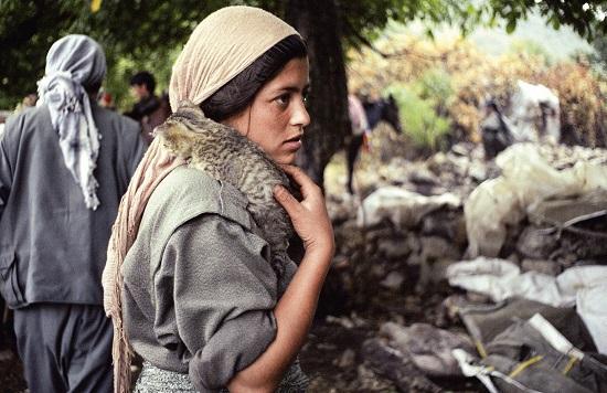 土耳其外交部：伊拉克库区将为独立公投付出代价