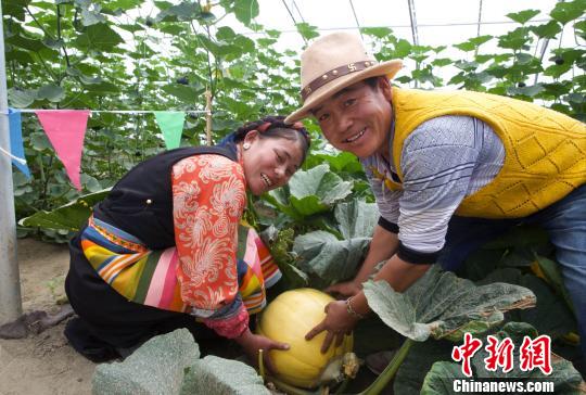 西藏日喀则234个贫困村脱贫