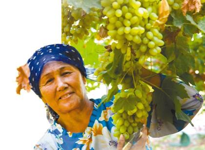 QQ截图20170918081931