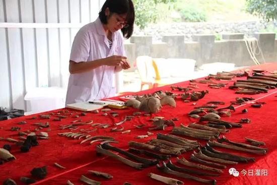 广西沉井遗骸确系83年前遭残杀红军 将举行安葬