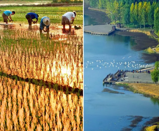 黄河变清调查:每年泥沙减少7亿吨 大洪水几率增加