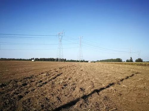 时隔毒大葱事件一个月 仍有商家违规售高毒农药