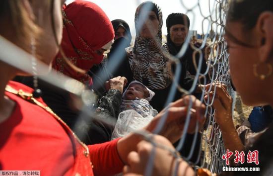 当地时间2016年10月26日，伊拉克埃尔比勒，因摩苏尔战事而逃离的难民在Khazer难民营与两年前到达此地的亲人隔着铁丝网相见。