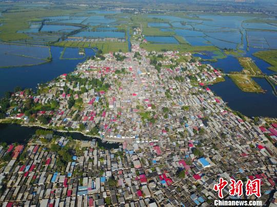 图为“华北明珠”白洋淀航拍图片。　张帆 摄