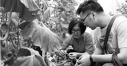 点击进入下一页