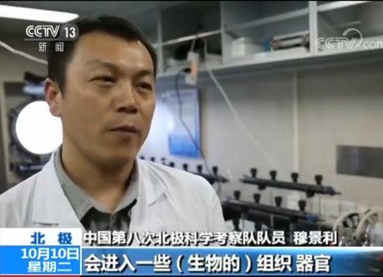 中国第八次北极科考完成 队员讲述防北极熊经历