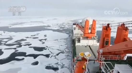 中国第八次北极科考完成 队员讲述防北极熊经历