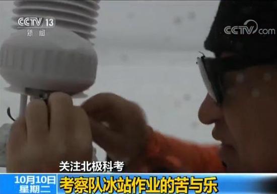 中国第八次北极科考完成 队员讲述防北极熊经历