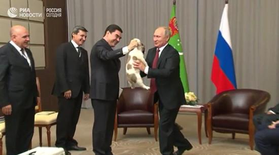 土库曼斯坦总统送普京小狗作生日贺礼 昵称忠诚