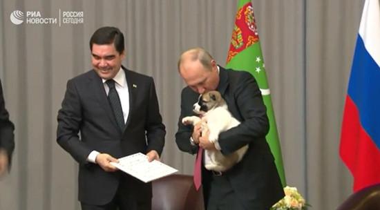 土库曼斯坦总统送普京小狗作生日贺礼 昵称忠诚