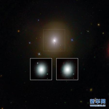 天文台将联合预警