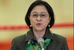 卢丽安代表：希望教出的学生能传承、创新中华文化